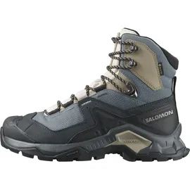 Salomon Quest Element GTX Damen Ebony/Rainy Day/Stormy Weather 38 2/3