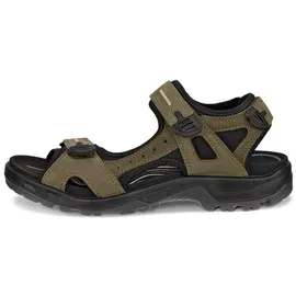 ECCO Offroad Herren grün 41