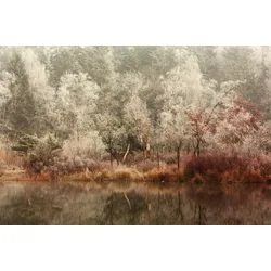 Fototapete PAPERMOON "Photo-Art ANTON VAN DONGEN, GEFROREN", bunt, B:3,00m L:2,23m, Vlies, Tapeten