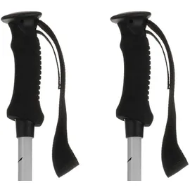 Salewa Puez Aluminum Pro Stöcke - Electric Blue / White - One Size