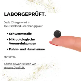 schwarzesgold Shilajit Tabletten 90 St.