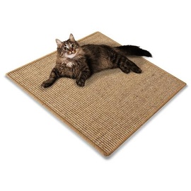 Floordirekt Sisal-Kratzteppich für Katzen 60 x 80 cm Kork - Kork