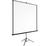 Tectake tectake® Beamer-Leinwand, ausziehbar, verschiedene Formate, Doppelschicht-Gewebetuch, faltenfrei