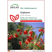 SAFLAX - Gojibeere - 200 Samen