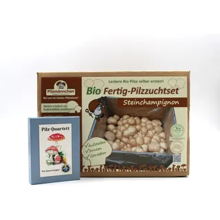 Geschenkset  Bio Steinchampignon Pilzzuchtset + Pilzquartett""
