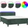 vidaXL Boxspringbett mit Matratze & LED Dunkelgrün 140x200 cm Samt