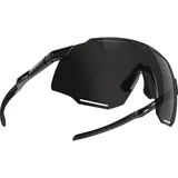 Dynafit Unisex Alpine 3 Sportbrille, black out-nimbus, OneSize