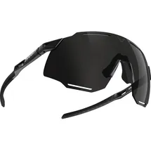 Dynafit Unisex Alpine 3 Sportbrille, black out-nimbus, OneSize