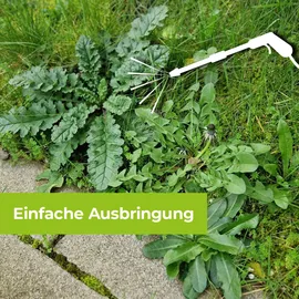 Protect Garden Permaclean Grundstoff Acetum, - 5 Liter