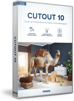 CutOut 10