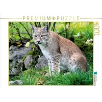 Calvendo Ein Motiv aus dem Kalender Der Luchs -