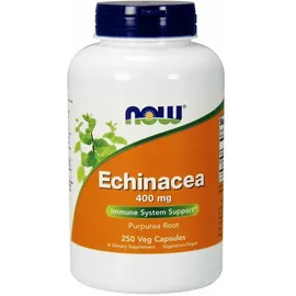 NOW Foods Echinacea Kapseln 250 St.