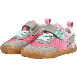 qnuffs Fichte Rosa 25