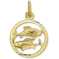 Sternzeichenanhänger ONE ELEMENT "Sternzeichen Anhänger aus 333 Gelbgold", gold, Schmuckanhänger, Damen, Fische im Setmit Halskette, Steinbock, Gelbgold 333 Gold, Gelbgold 333, Gold, das perfekte Geburtstagsgeschenk für Frau und Mann