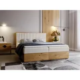 GRAINGOLD Boxspringbett Forest 160x200 cm - Bett 160x200, Kontinentalbett mit Bettkasten - Doppelbett mit Matratze - Beige (Monolith 04) - Beige
