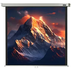 celexon Leinwand Rollo Professional 180 x 180 cm