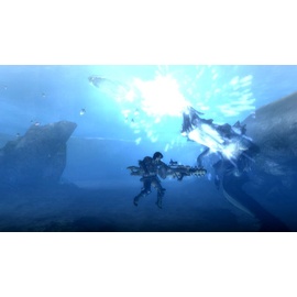 Monster Hunter Tri (Wii)