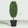 Homcom 2er-Set Künstliche Buchsbaum 60 cm Kunstpflanze im Olivenform, künstliche Pflanzen im Topf, UV-beständig Kunstbaum Fake Plant wie echt Dekoration für Wohnzimmer Schlafzimmer Outdoor