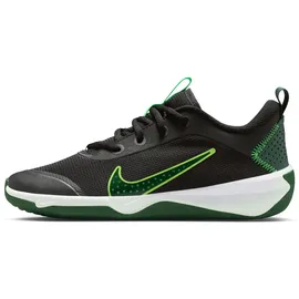 Nike Omni Multi-Court Kinder Schwarz 39