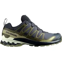 Salomon XA Pro 3D V9 GTX Herren India Ink/Olive Night/Aloe Wash 46