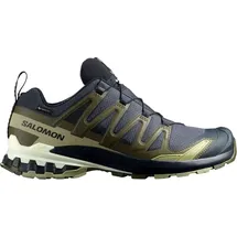 Salomon XA Pro 3D V9 GTX Herren India Ink/Olive Night/Aloe Wash 46
