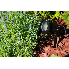 EDO Außenleuchte Gartenstrahler mit Erdspieß HORTUS BLACK IP65 GU10 schwarz EDO777112 EDO