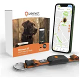 Weenect XT GPS Tracker für Hunde 6 kg Orange