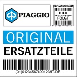 Benzinpumpe Piaggio Dieselpumpe für Ape Classic 400, E40006819