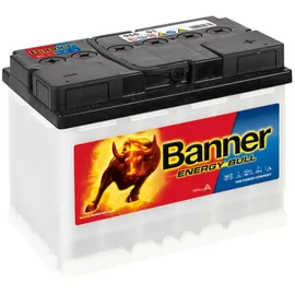 Banner Energy Bull 60Ah 12V