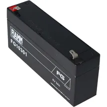 Fiam FG10301 Blei Akku 3,0Ah 1 St.