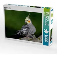 Calvendo Nymphensittich Puzzle