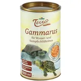 Dehner Terra Gammarus,