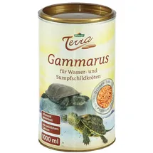 Dehner Terra Gammarus,