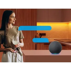 Sonoff L2-5M Kit Intelligenter wasserdichter LED-Streifen 5 m RGB-Fernbedienung Wi-Fi-Stromversorgung