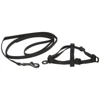 Nobby 78050-05 Garnitur Nylon Frettchen/Ratten