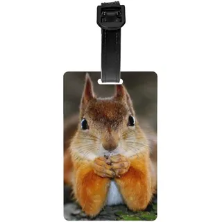 Lustige Eichhörnchen-Gepäckanhänger, Taschenanhänger für Gepäck, Kofferanhänger, Gepäckanhänger mit Namensausweis, für Damen und Herren, Reisen