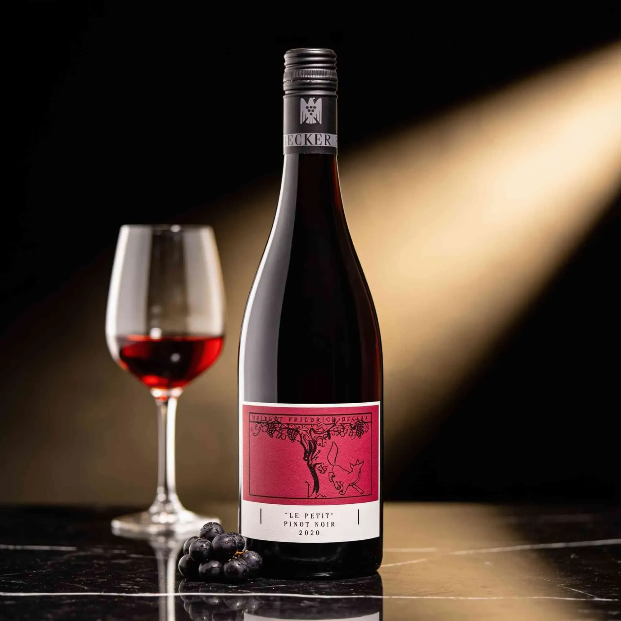 Weingut Friedrich Becker 2020 Friedrich Becker Spätburgunder 2020 Spätburgunder Deutschland