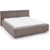 Meise Möbel Magnum 140 x 200 cm Schwarz/Braun