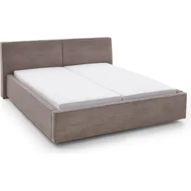 Meise Möbel Magnum 140 x 200 cm Schwarz/Braun