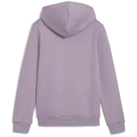 Puma Essentials Logo Hoodie Mädchen 30 pale plum 176