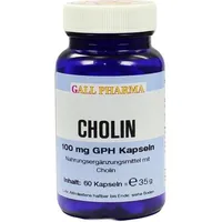 Hecht Pharma Cholin 100 mg GPH Kapseln 60 St.