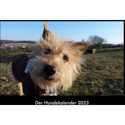 Vero Kalender, Kalender, Der Hundekalender 2023 Fotokalender DIN A3 (Deutsch)