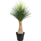 Creativ green Kunstpflanze »Yucca Nolina Recurvata«, auf Stamm Creativ green grün-grau