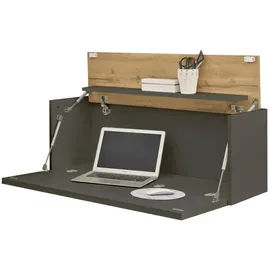 furn.design Sekretär Grau, Eiche Wotan 100 cm, Wandschrank mit klappbarem Oberboden | Gr.: onesize