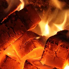 Paligo Braunkohlebriketts 20 kg