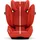 Cybex Solution G i-Fix Hibiscus Red Plus, Rot