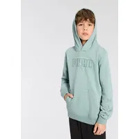 Puma Kapuzensweatshirt »ESS LOGO LAB EXECUTION HOODIE TR B«, grün