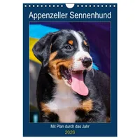 Calvendo Appenzeller Sennenhund - Mit Plan durch das Jahr