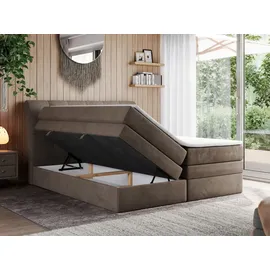MKS Meble Boxspringbett, Braun, Textil, 2-Sitzer, H4, Rechteckig, 140x200 cm, Schlafzimmer, Betten, Boxspringbetten