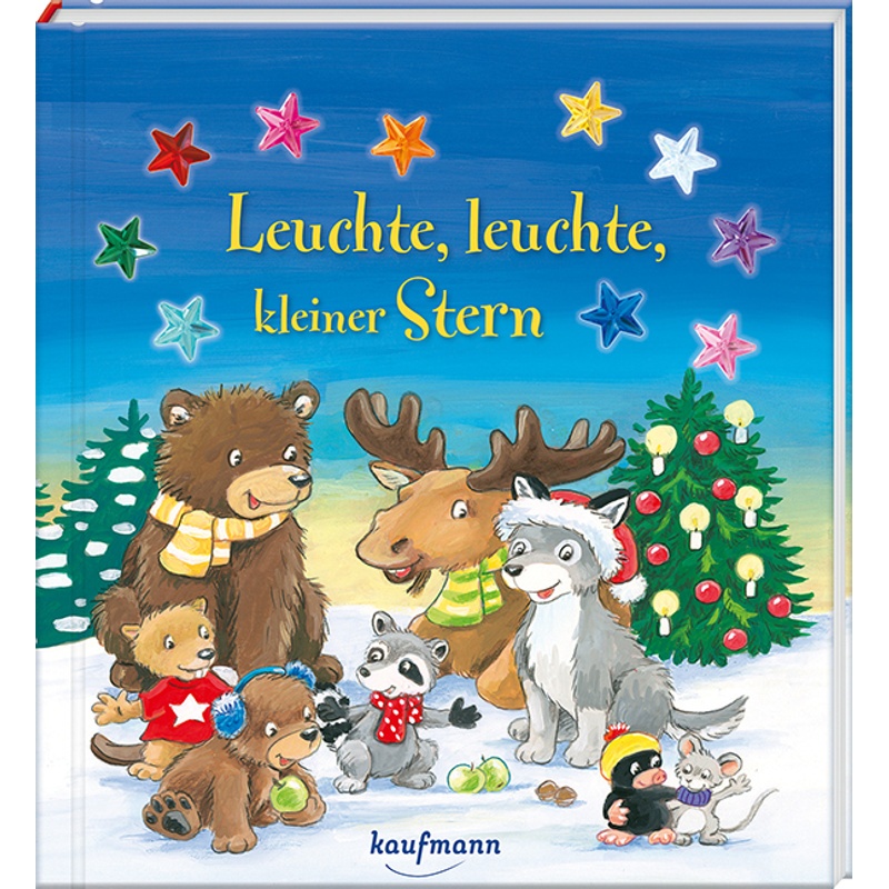 Bilderbuch Mit Integriertem Extra - Ein Weihnachtsbuch / Leuchte, Leuchte, Kleiner Stern - Kristin Lückel, Pappband